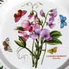 Close Up - Sweet Pea Motif On A Dinner Plate