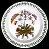 VENUS FLY TRAP DINNER PLATE