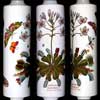 Venus Fly Trap Rolling Pin - View Of Three Sides