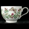 Common Vetch Side Of Tea Cup
