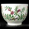 Common Vetch Front Of Tea Cup