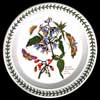 NEWER WOODY NIGHTSHADE SALAD PLATE FLOWER WITH GREEN NUMBER
