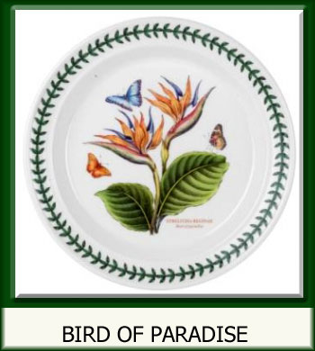 Botanic Garden Exotic - Bird Of Paradise