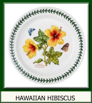 Botanic Garden Exotic - Hawaiian Hibiscus